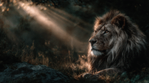 leo-tarot-questions-creativity-confidence-love-leadership-purpose-open-ended-tarot-reading