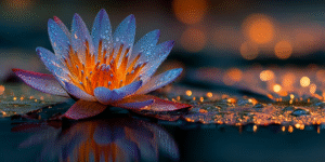 Blue lotus floating on dark water with a soft prismatic rainbow halo, symbolizing intuitive clarity and insight emerging from stillness.