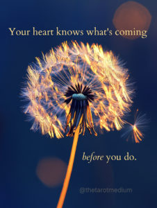 Your heart knows what's coming before you do. A delicate dandelion seed head backlit by golden sunset light with one seed lifting into flight, symbolizing the heart's quiet recognition of impending loss in anticipatory grief.