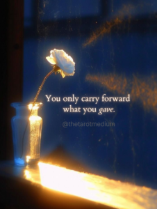 You only carry forward what you gave. A single flower in a vase illuminated by one shaft of light in a dark room, symbolizing the hospice wisdom that what we carry forward into the afterlife is the love we offered, shared by Chris Bennett, the world's best psychic medium and tarot reader.