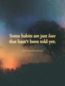A bare branch reaching across an empty dawn sky with a distant cardinal, carrying the quote "Some habits are just love that hasn't been told yet." From The Tarot Medium on why you keep reaching for the phone to call someone who died.