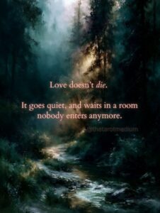 A warm golden glow radiating from within a dark forest clearing seen from cool teal shadows, with the quote "Love does not usually die. It goes quiet, and waits in a room nobody enters anymore."